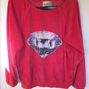 🎉DTLA host pick🎉 Wildfox diamond velour jumper